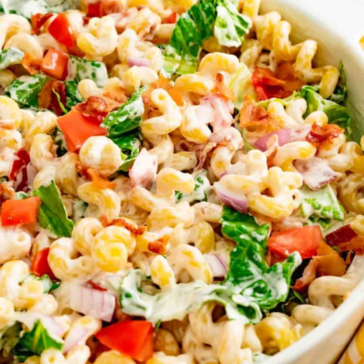 Popular Recipes - Popular Recipes