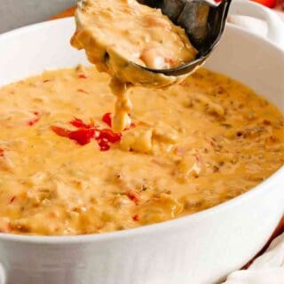 Crockpot Rotel Dip in a serving bowl with a large ladle.