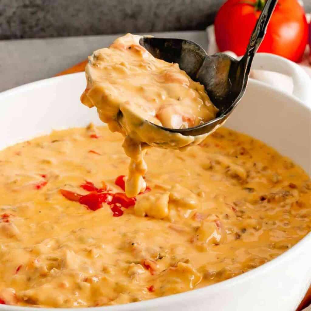 Crockpot Rotel Dip in a serving bowl with a large ladle.