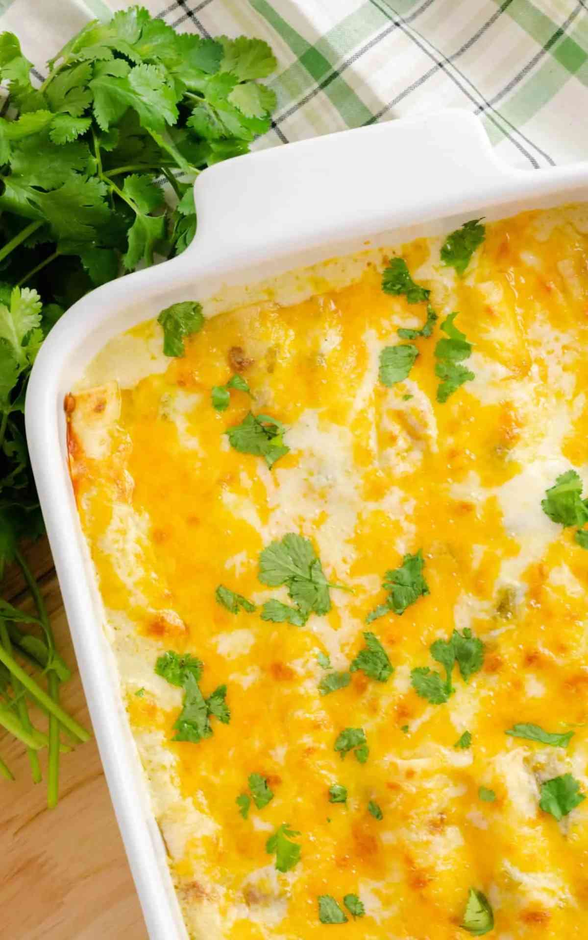 Top view of a white chicken enchiladas casserole dish with melted cheese and cilantro.