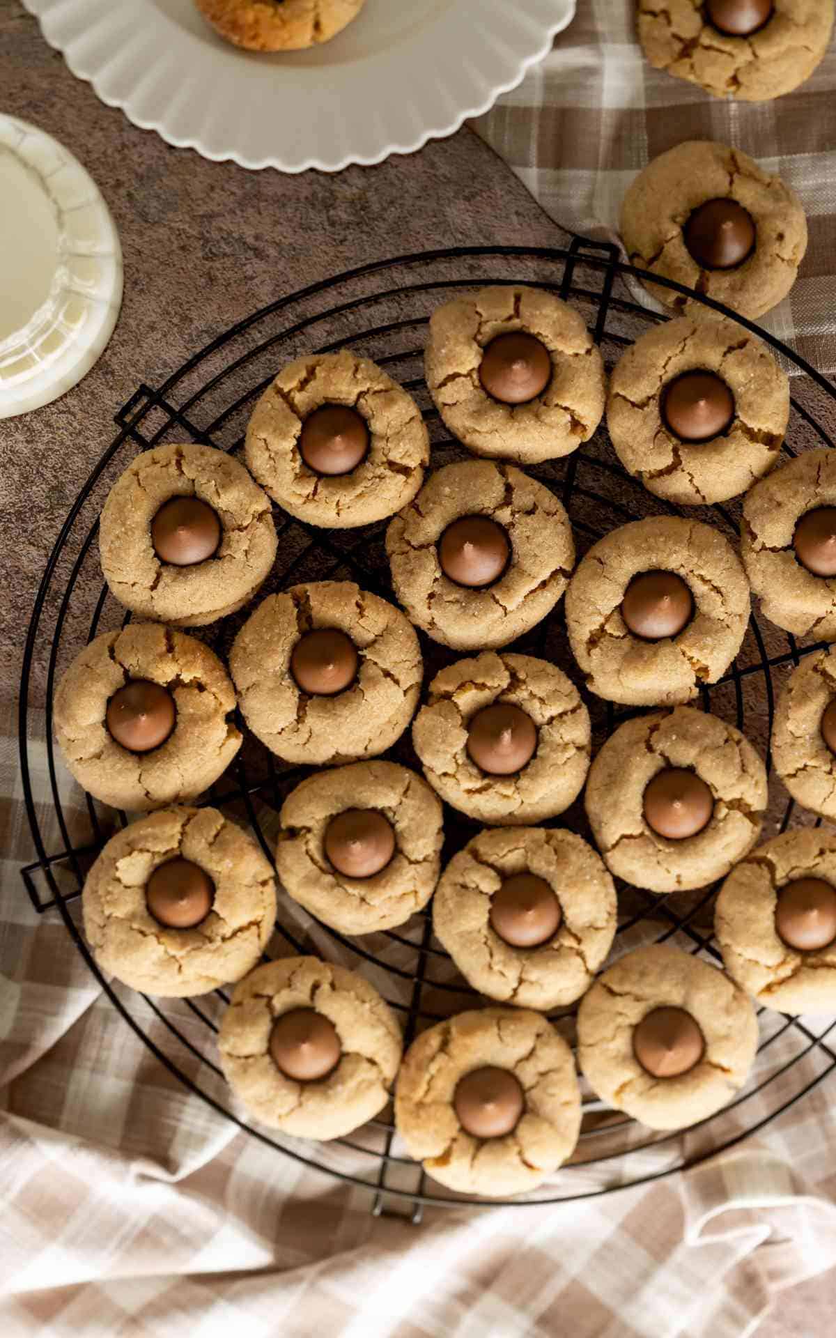Birdseye view of peanut blossoms with warm chocolate kisses.